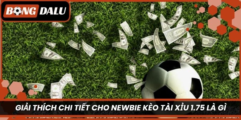 Giải thích chi tiết cho newbie kèo tài xỉu 1.75 là gì?
