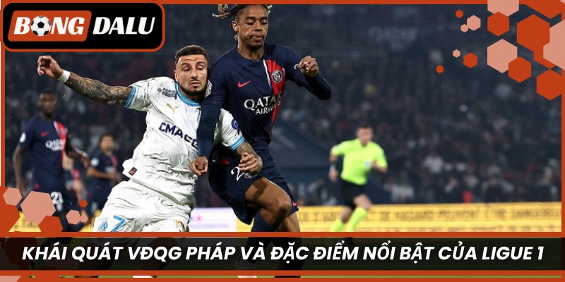 Khái quát VĐQG Pháp và đặc điểm nổi bật của Ligue 1