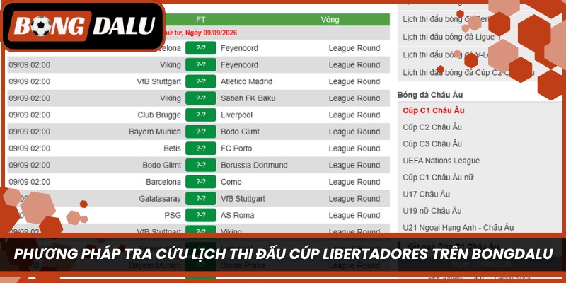 Phương pháp tra cứu lịch thi đấu Cúp Libertadores trên Bongdalu